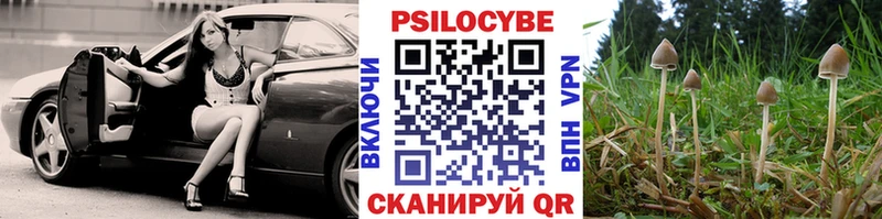 где продают   Озёры  Псилоцибиновые грибы ЛСД 